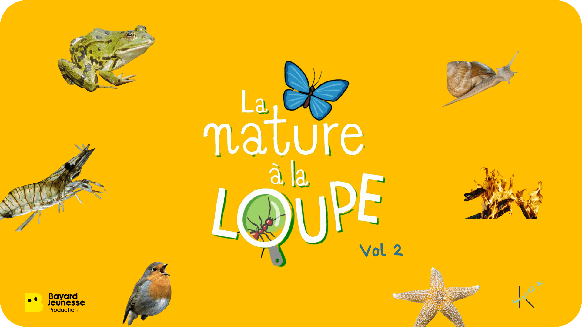 La nature à la loupe - volume 2 - Tikino