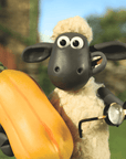Shaun le Mouton: La Ferme sens dessus dessous - Tikino