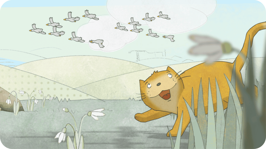 Chat roux se promenant dans l'herbe et regardant voler les oies sauvages. Illustration pour Fred et Anabel conte pour enfant sur Tikino le projecteur enfant