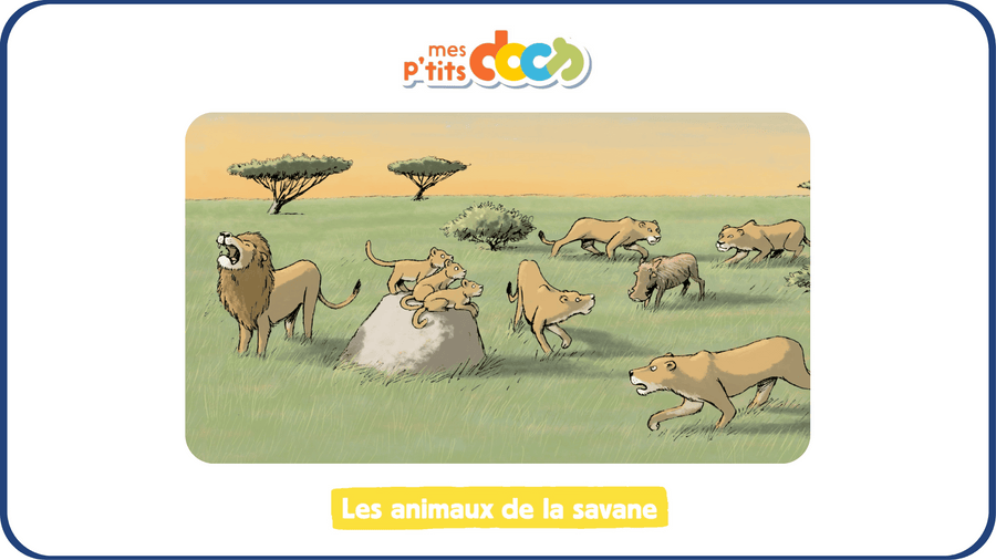 Les animaux de la savane, image extraite de la série documentaire mes ptits docs, disponible sur Tikino