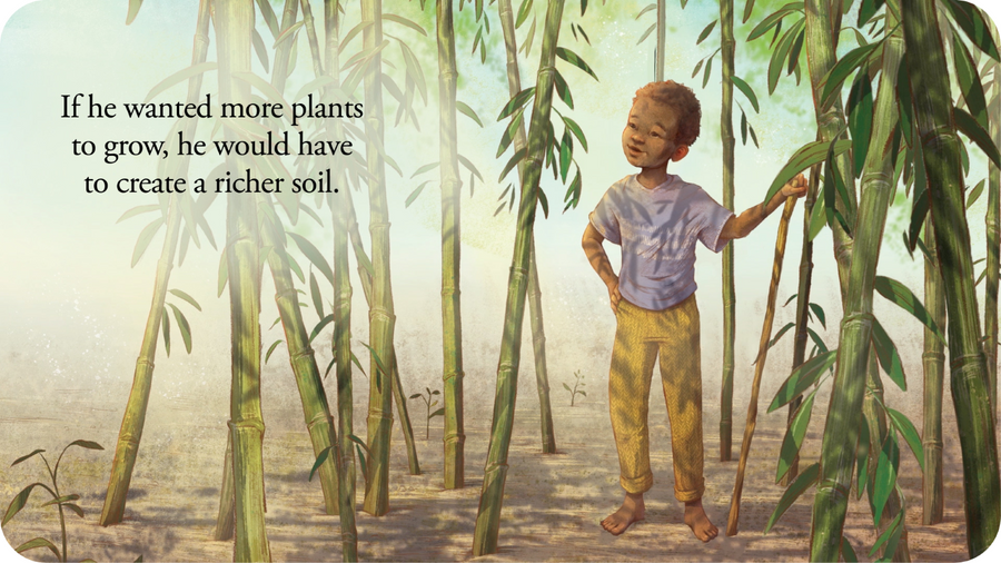 Petit garçon plantant des bambous, The boy who grew a forest, pour Tikino