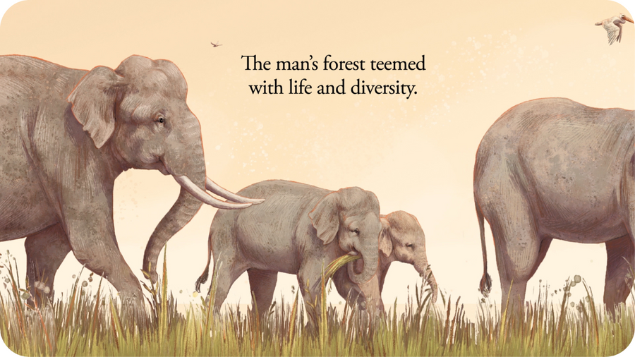 Eléphants adultes et éléphanteaux marchant dans les herbes. Illustration pour the boy who grew a forest pour Tikino