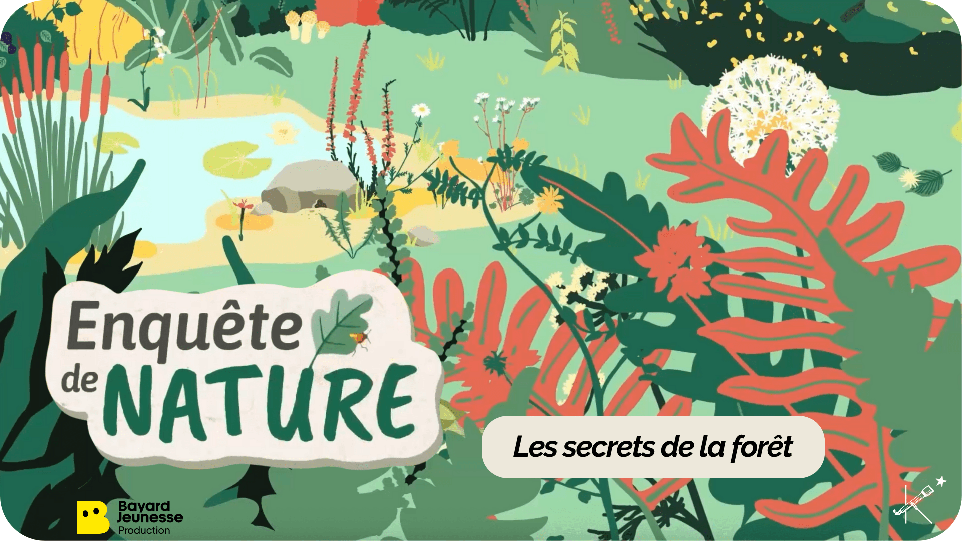 Enquête de nature : Les secrets de la forêt - Tikino