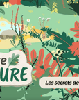 Enquête de nature : Les secrets de la forêt - Tikino