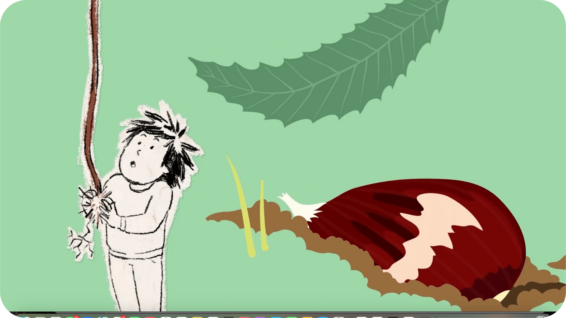 Enquête de nature : Les secrets de la forêt - Tikino