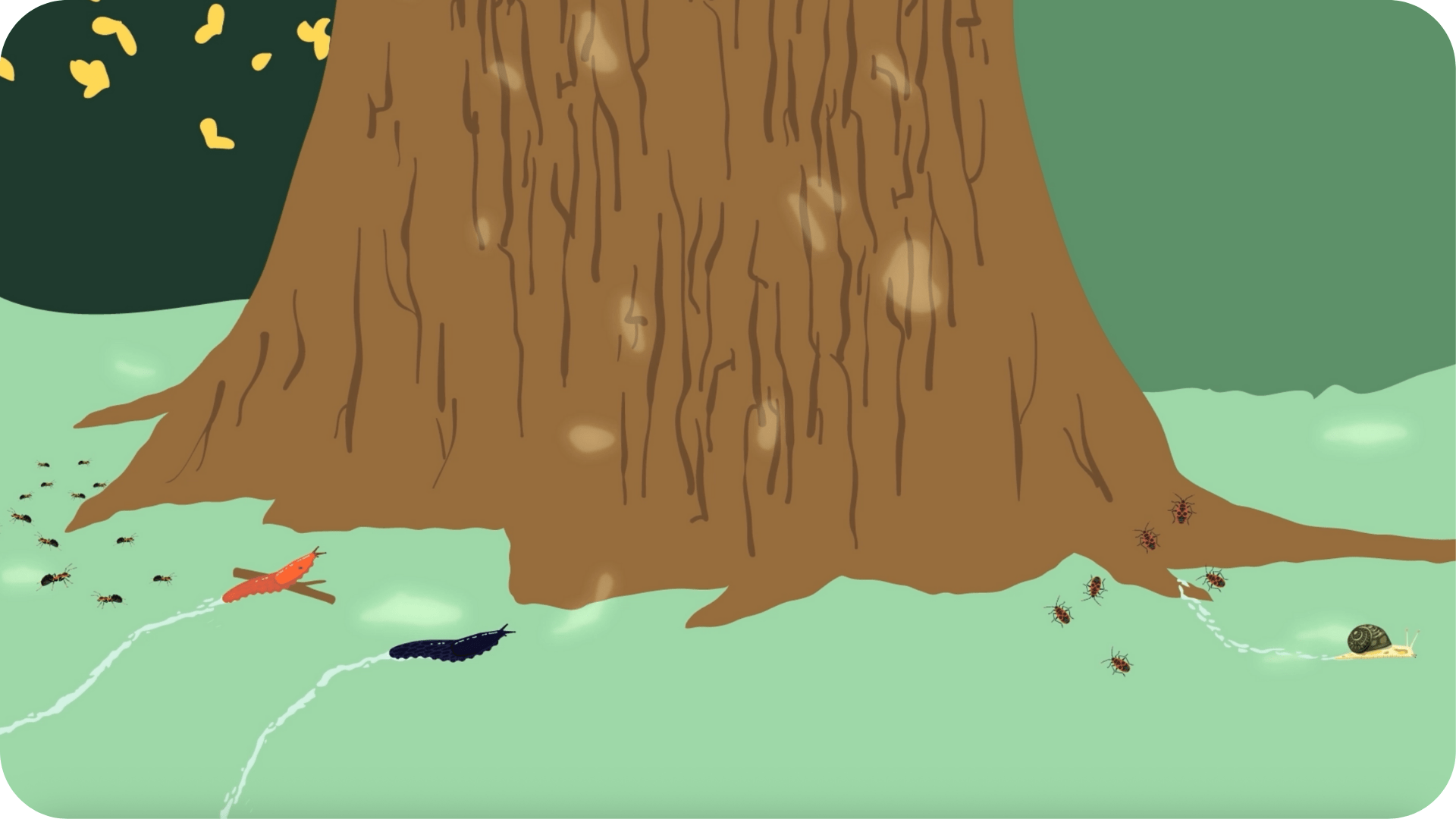 Enquête de nature: Mystères et petites bêtes - Tikino