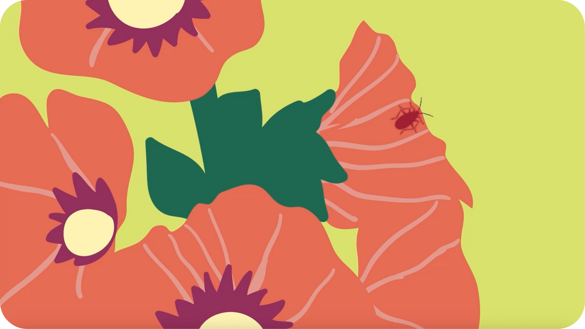 Enquête de nature: Mystères et petites bêtes - Tikino