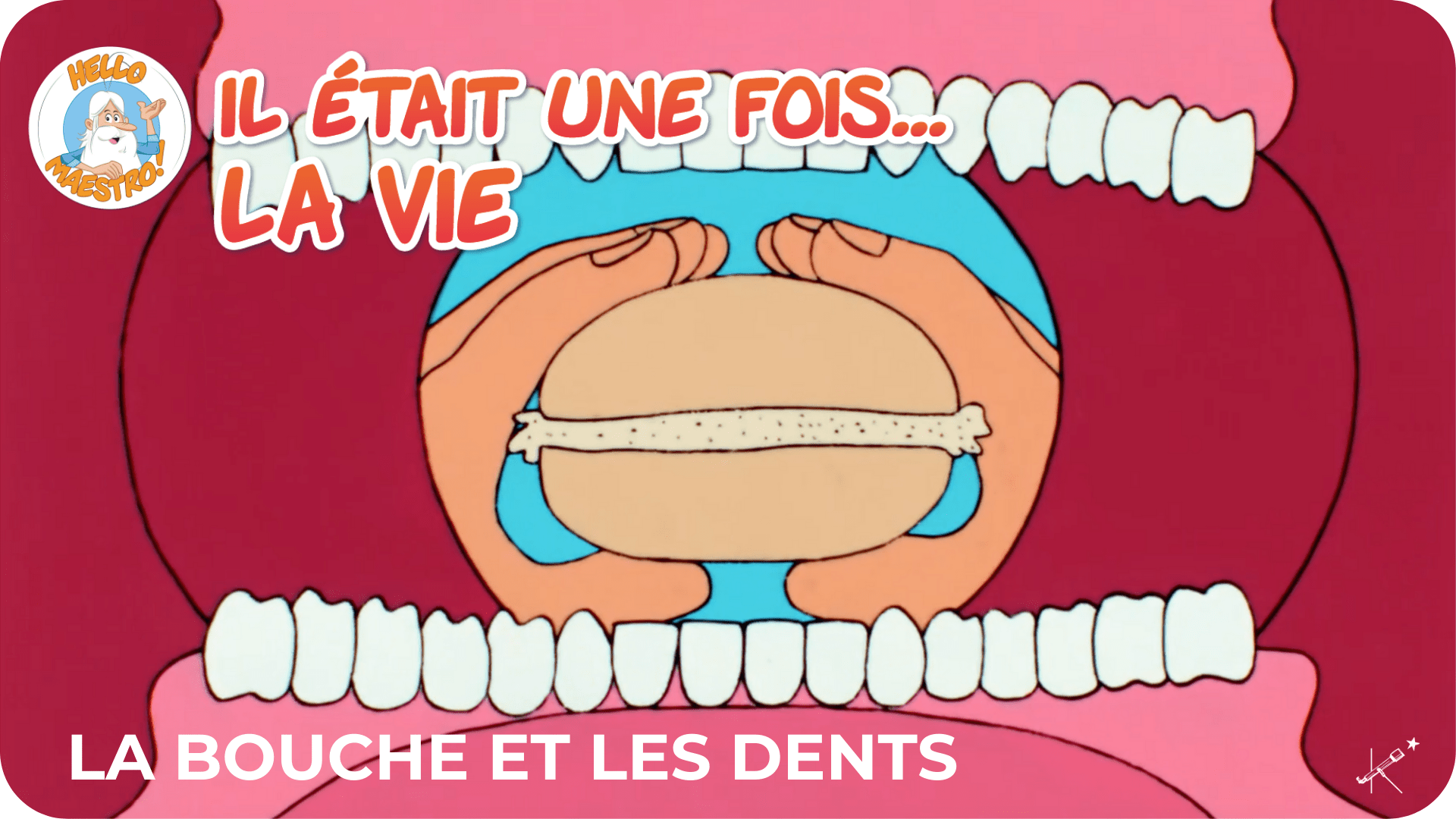 Il était une fois... La Vie - La bouche et les dents - Tikino