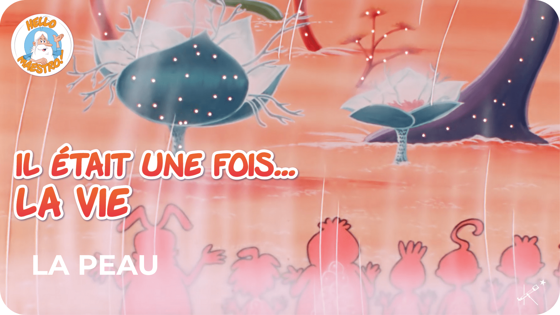 Il était une fois... La Vie - La peau - Tikino