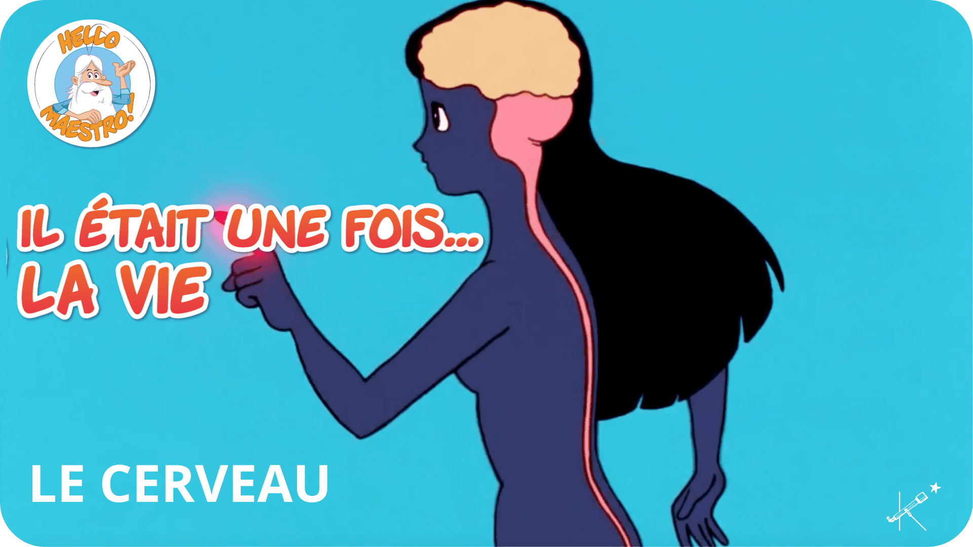 Il était une fois... La Vie - Le cerveau - Tikino