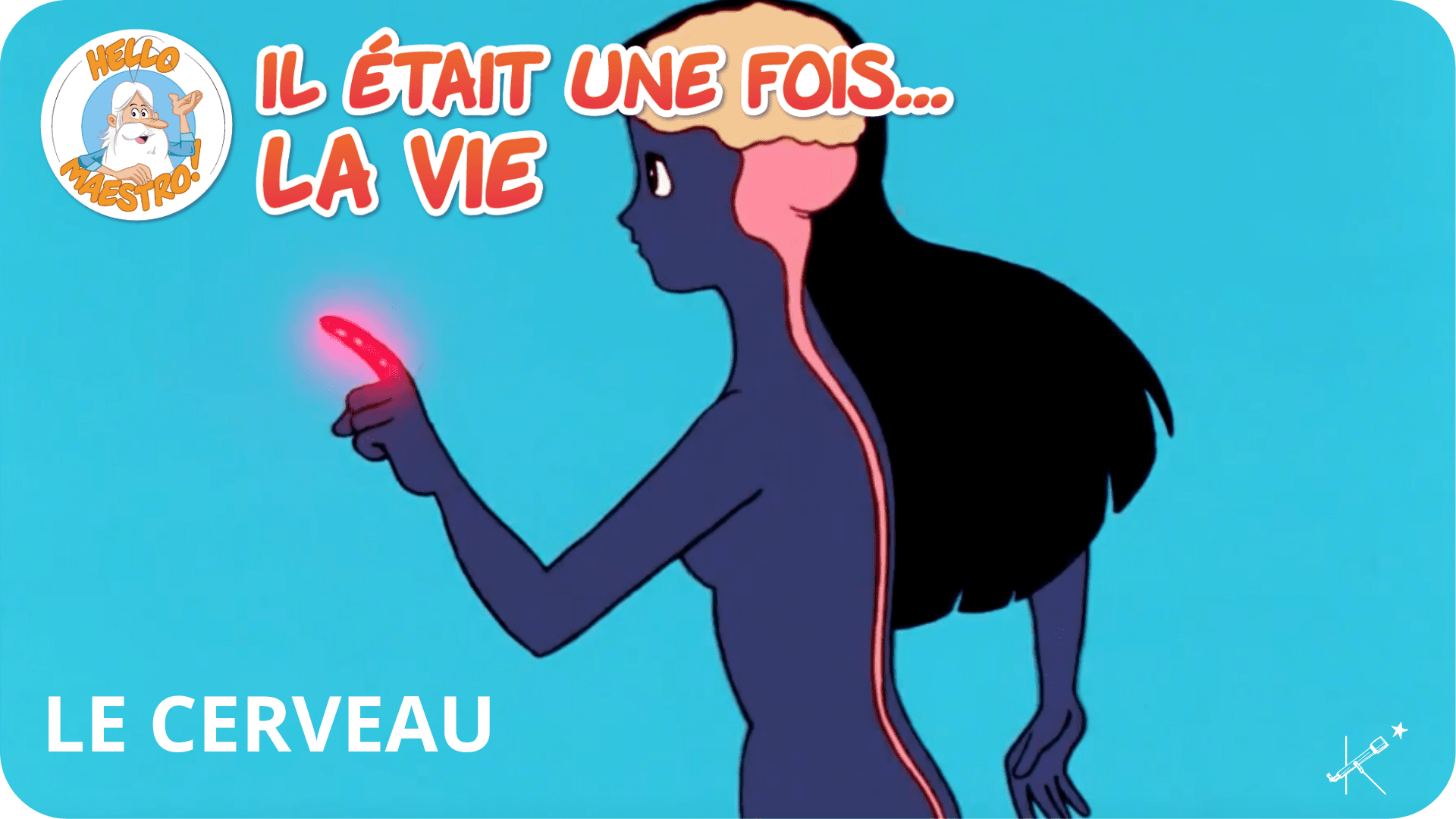 Il était une fois... La Vie - Le cerveau - Tikino