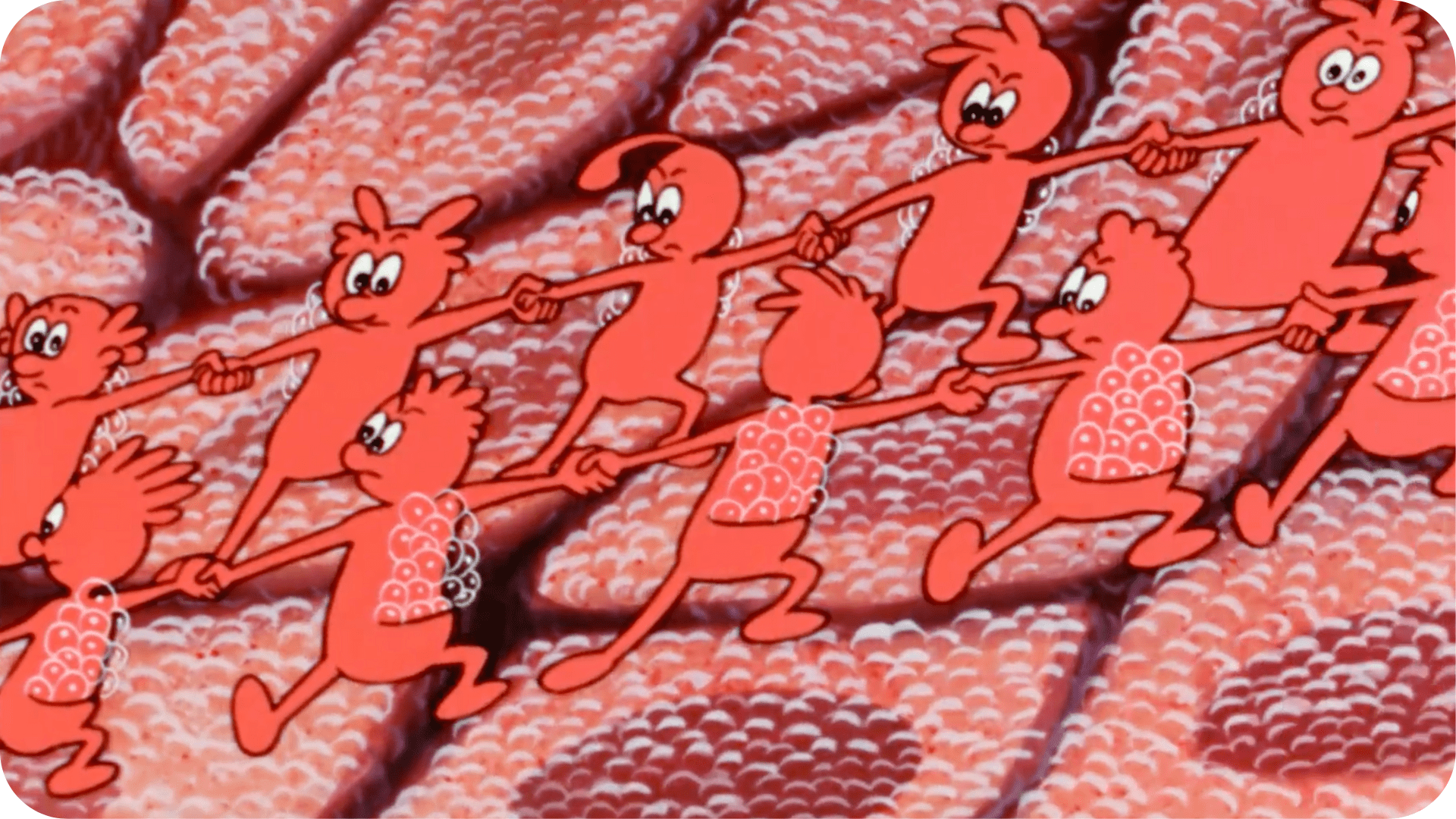 Il était une fois... La Vie - Les chaînes de la vie - Tikino