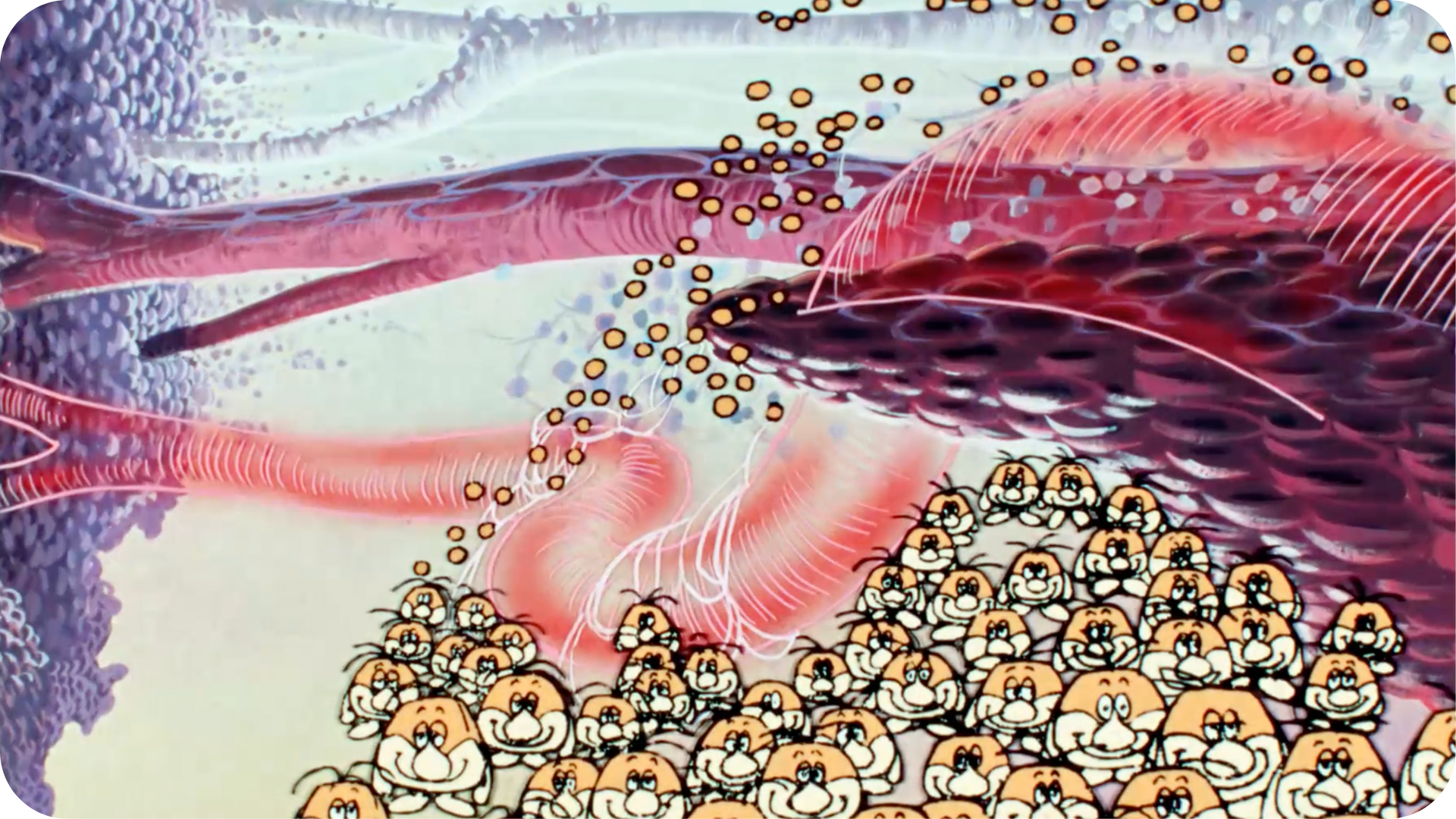 Il était une fois... La Vie - Les os et le squelette - Tikino