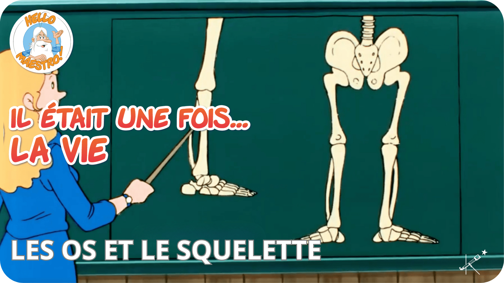 Il était une fois... La Vie - Les os et le squelette - Tikino