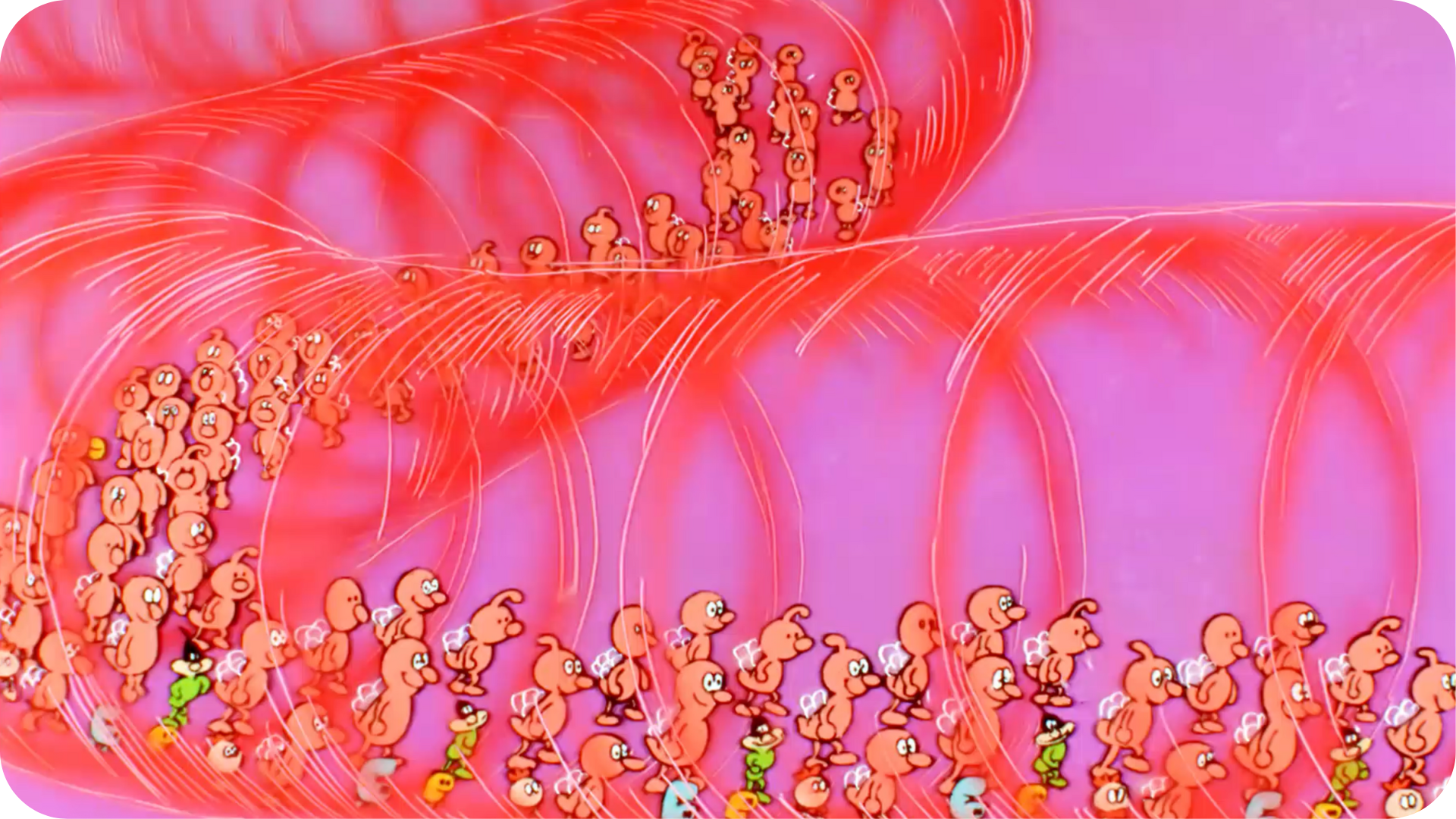 Il était une fois... La Vie - Les os et le squelette - Tikino