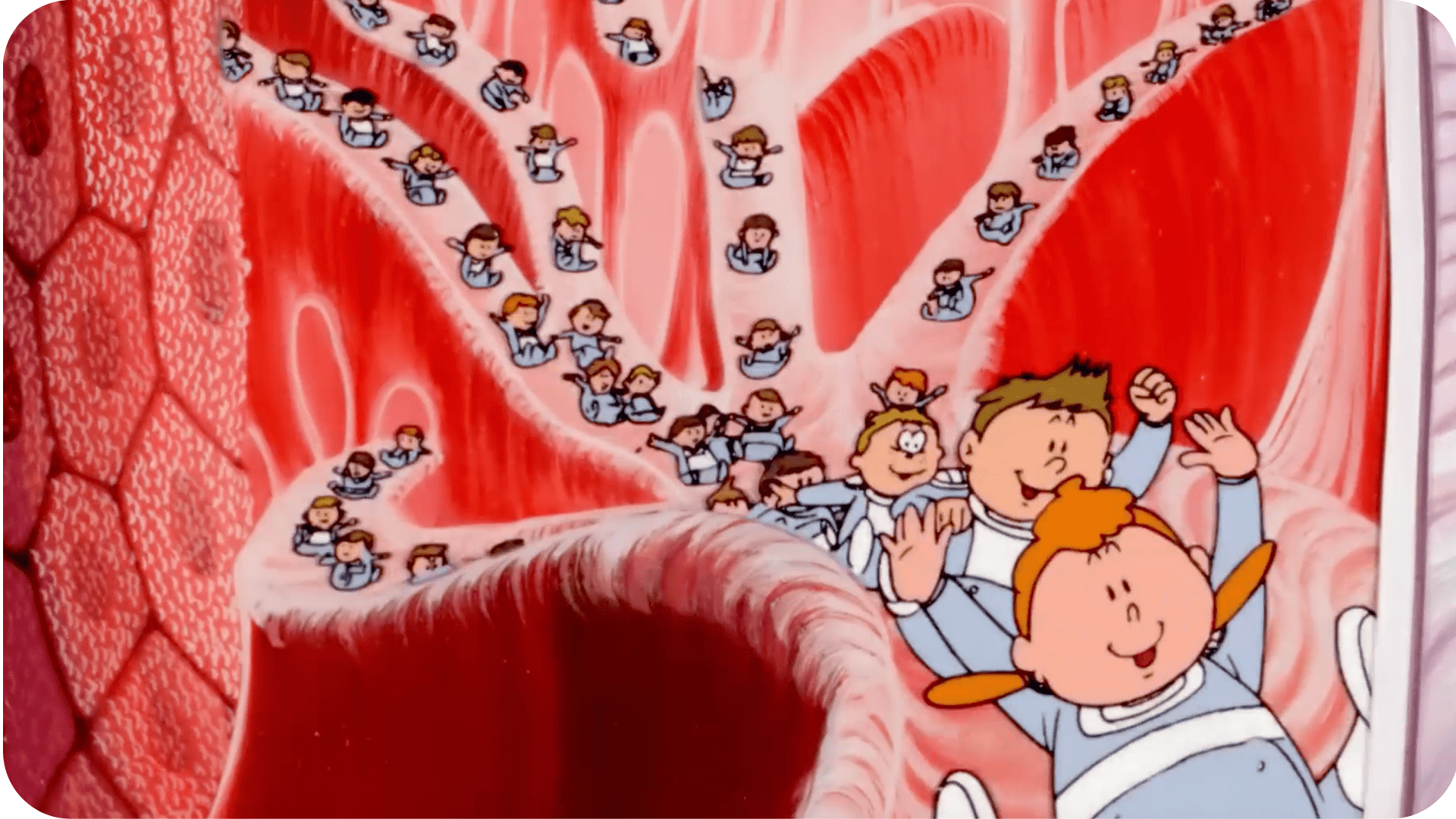 Il était une fois... La Vie - Les sentinelles du corps - Tikino