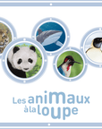 Les animaux à la loupe - Tikino