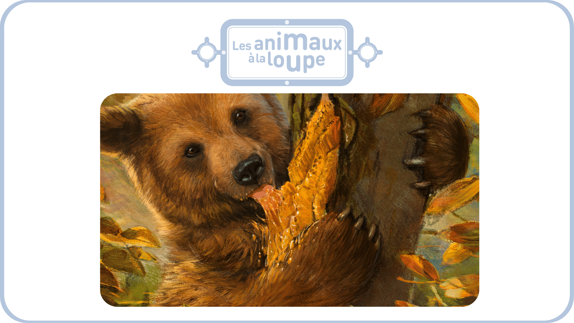 Les animaux à la loupe - vol 2 - Tikino