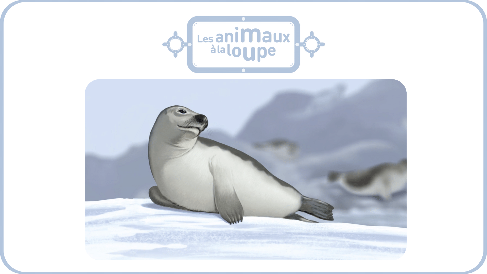 Les animaux à la loupe - vol 2 - Tikino