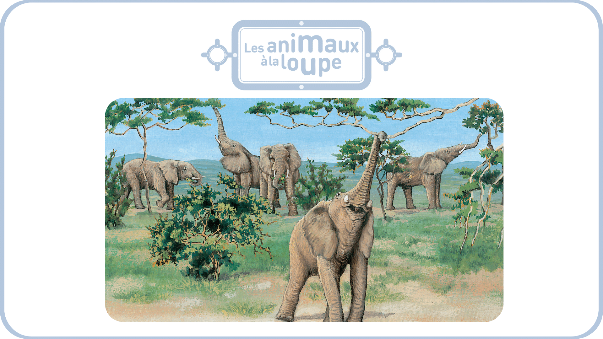 Les animaux à la loupe - vol 2 - Tikino