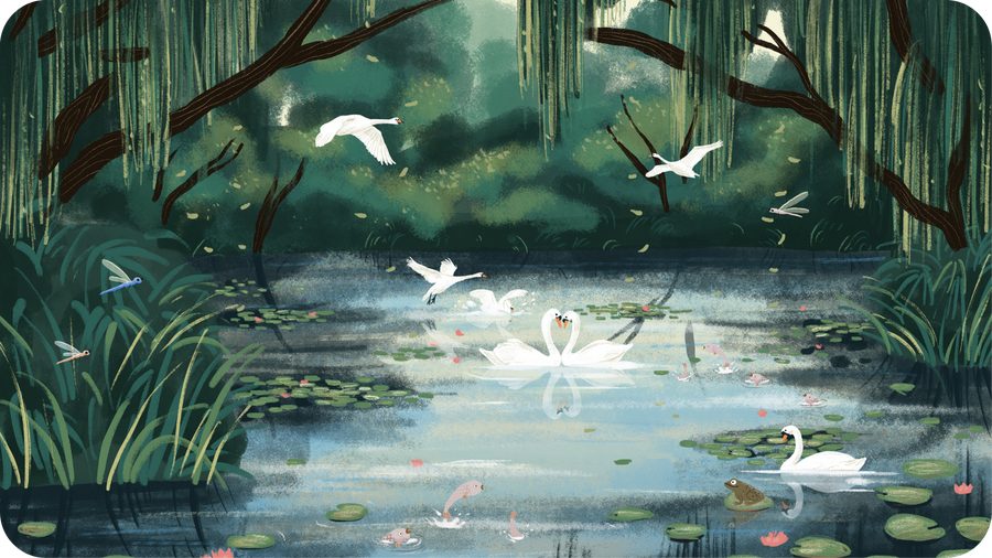 Cygne sur le lac illustration de Miren Asiain Lora pour les Berceuses Classiques de Tikino