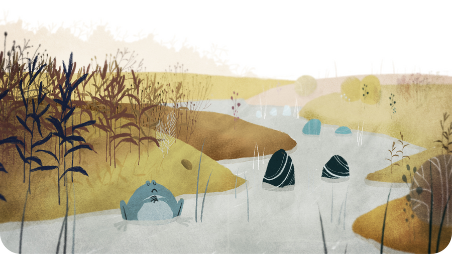 Grenouille dans une rivière. Une illustration du court métrage La Luge, disponible dans le pack Petits Contes d'hier sur Tikino