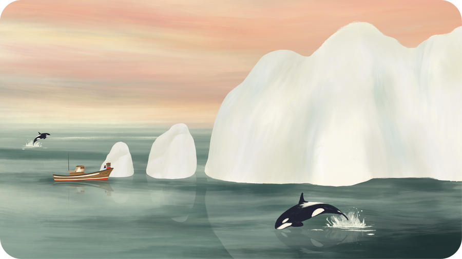 Ourson, orques et banquise illustration de Miren Asiain Lora pour un Trésor au Pôle Sud, un conte Tikino